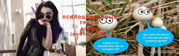 индика Покров