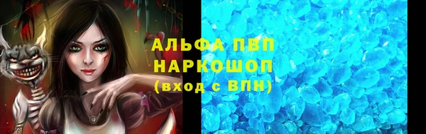 дмт Губаха