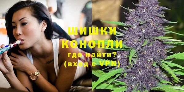 индика Покров