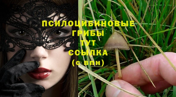 индика Покров