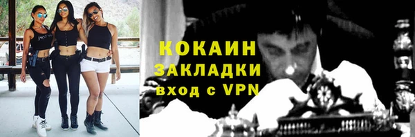 индика Покров