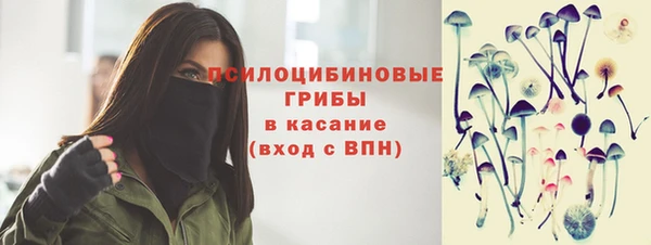 индика Покров