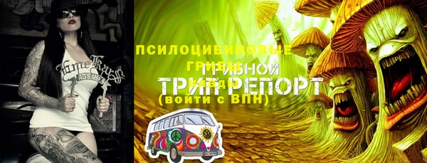 таблы Грязовец
