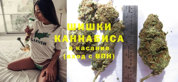 индика Покров