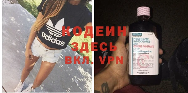 индика Покров