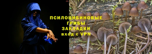 индика Покров