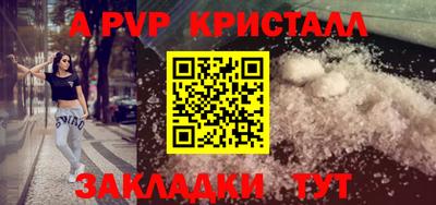 стаф Гай