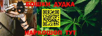 стаф Гай