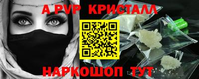 стаф Гай