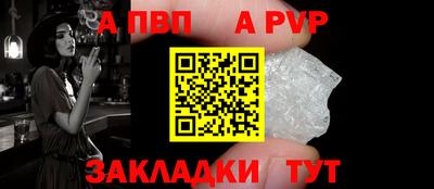стаф Гай