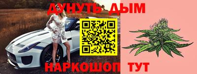 стаф Гай