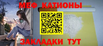 стаф Гай