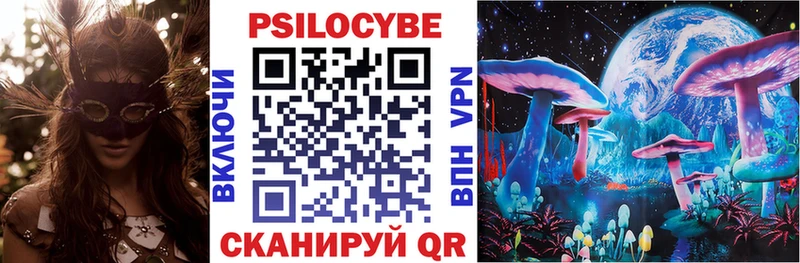 Псилоцибиновые грибы Psilocybine cubensis  Волоколамск 