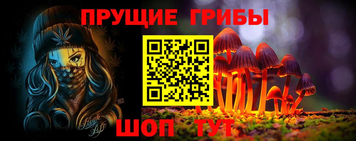 как найти закладки  Вход с VPN  Волоколамск  Галлюциногенные грибы мицелий 