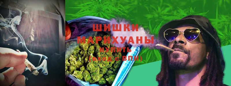 Каннабис SATIVA & INDICA  как найти наркотики  Волоколамск 